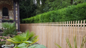 Palissade avec haie de thuyas