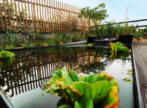 Marre sur les toits de Paris