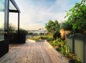 Terrasse en bois sur les toits de Paris