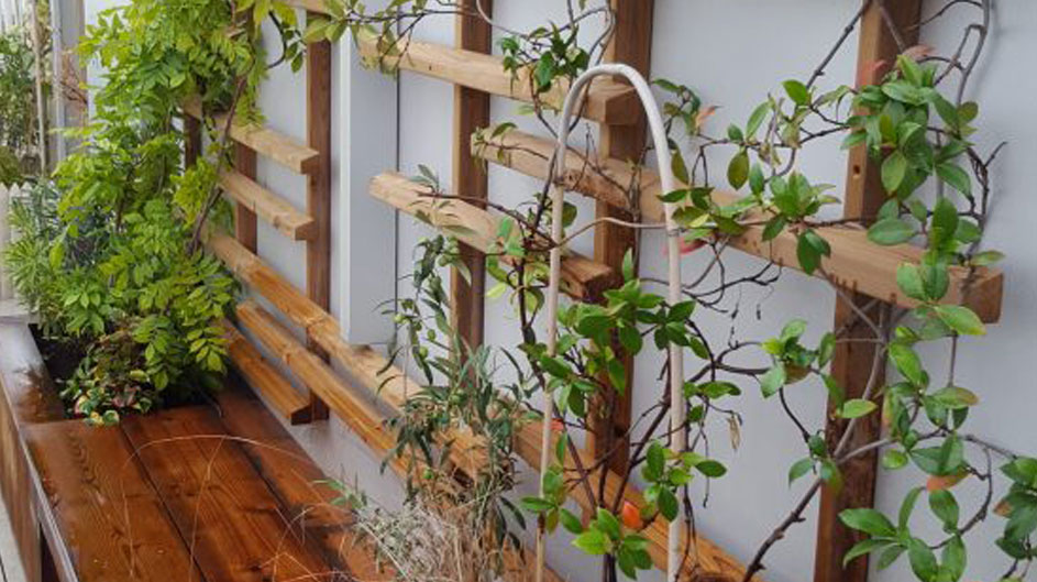 Treillage décoratif en châtaignier